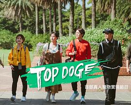 麻豆网《TOP DOG》免费在线观看