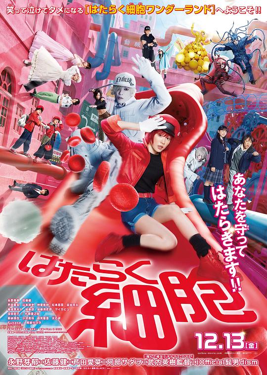 麻豆精品《工作细胞 真人版 はたらく細胞》免费在线观看