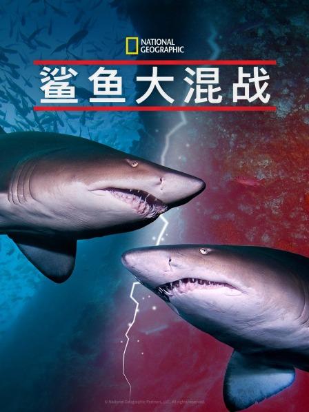 麻豆网《鲨鱼大混战》免费在线观看