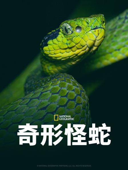 麻豆裸聊《奇形怪蛇》免费在线观看